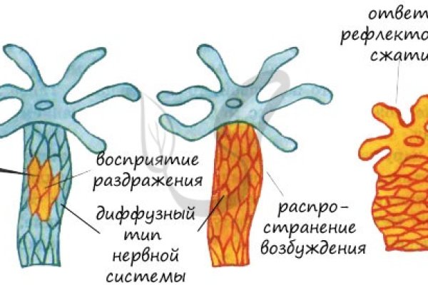 BlackSprut ссылка для тору